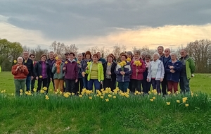 randonnée des jonquilles à Bocé