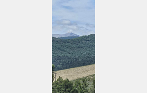 678250ea1c573_LeVentoux.jpg