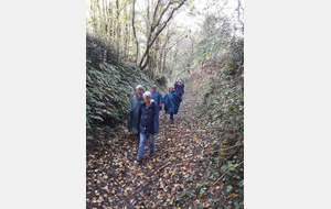 Rando 12 Novembre à Trèves