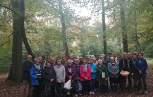 Rando 17 octobre avec la sortie champignons en forêt de Chandelais dans le baugeois