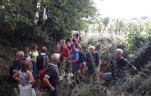 Rando le 3 septembre à St Nicolas de Bourgueil
12.5 km avec 23 randonneurs