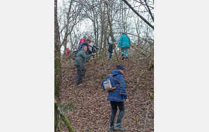 Rando 7 mars en forêt de Milly
11 km avec 36 marcheurs