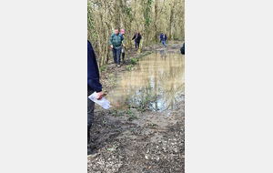 Rando 7 mars en forêt de Milly
Il faut éviter les nombreux pièges suite aux pluies