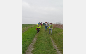 Rando 4 février à Chênehutte pour 9km