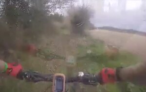 La piste des chevreuils